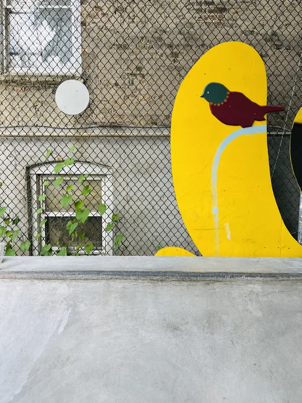 IMG 0114