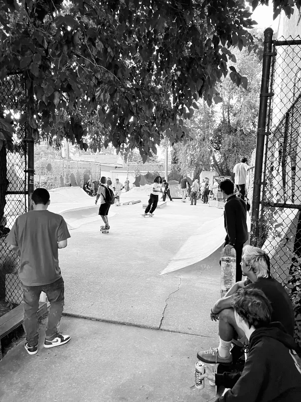 IMG 0499