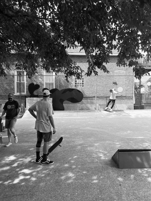 IMG 7032