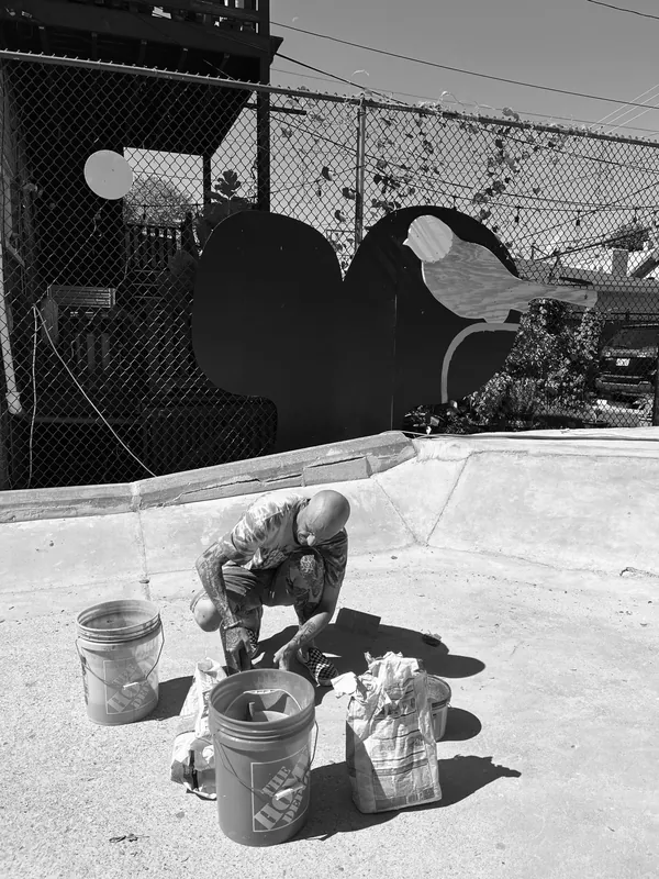 IMG 7236